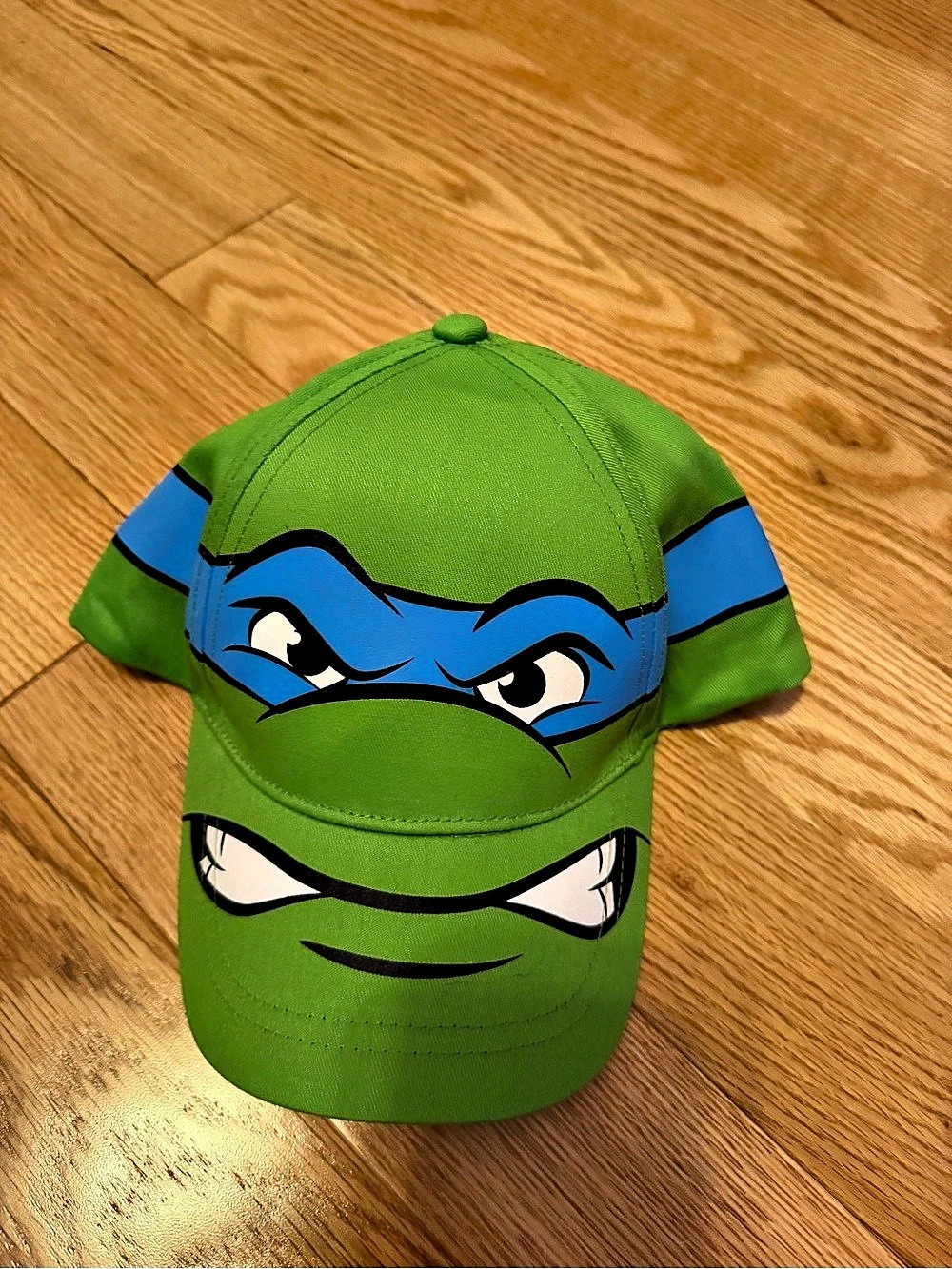Nickelodeon Teenage Mutant Ninja Turtles Leonardo Face Snapback Hat